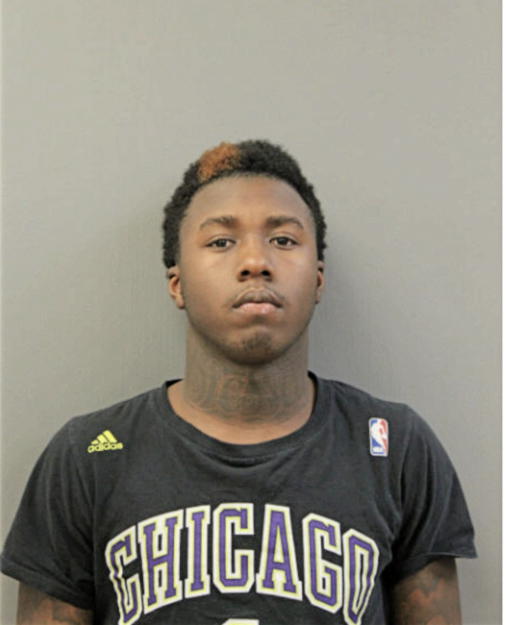 NIGEL N WEBB, Cook County, Illinois