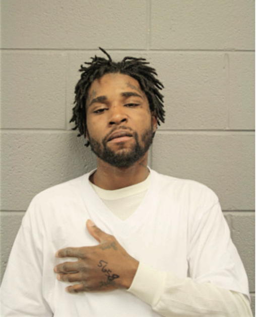BRIAN D WHITE, Cook County, Illinois