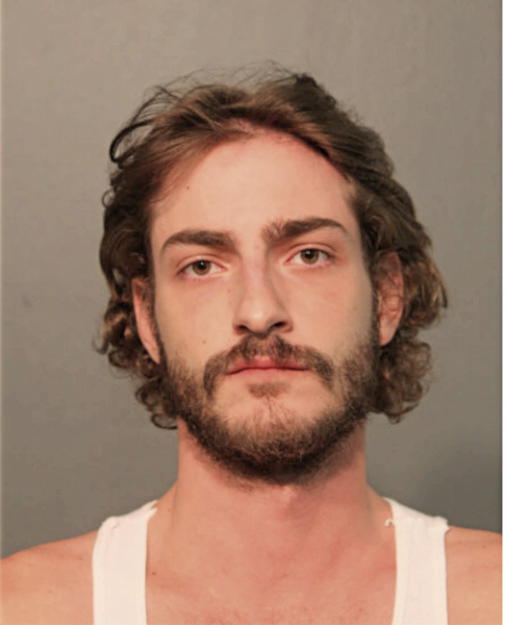 VINCENT ANTHONY ADREANI, Cook County, Illinois