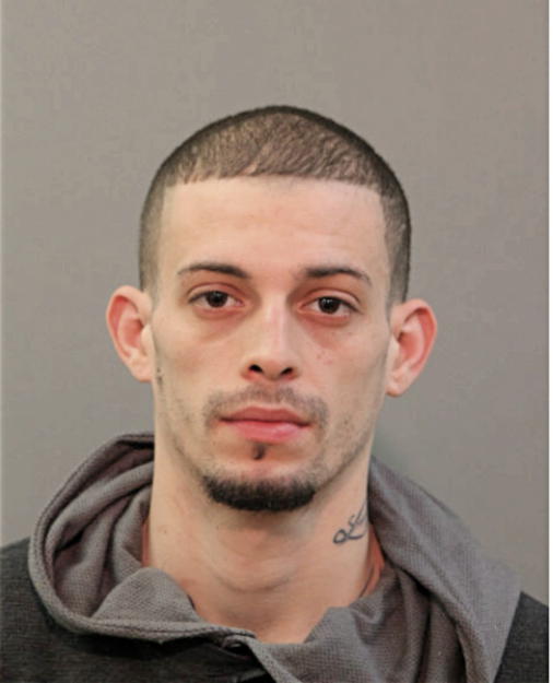 JESUS MANUEL ALVAREZ-RAMIREZ, Cook County, Illinois