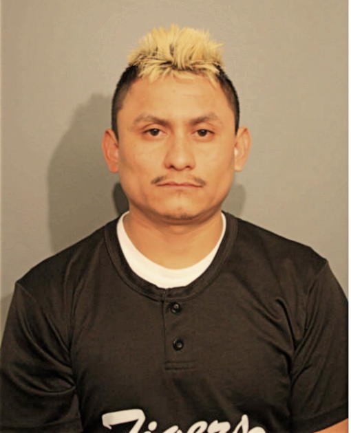 DIONISIO ARTEAGA, Cook County, Illinois
