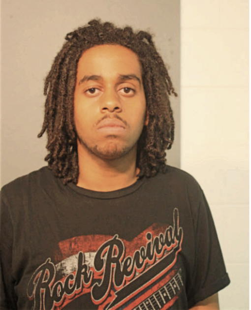 ALULA T BERHE, Cook County, Illinois