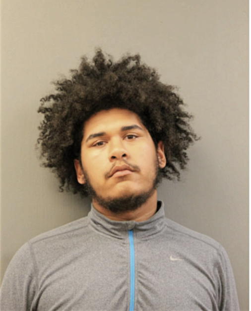 DOMINIQUE M BOONE, Cook County, Illinois