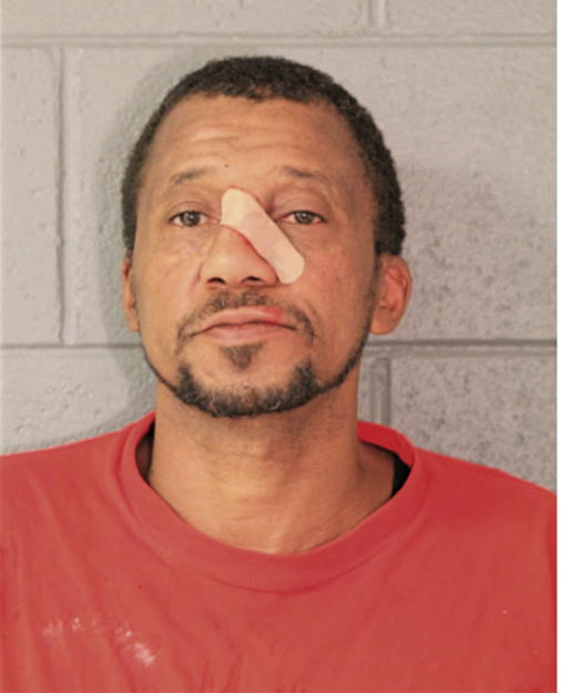 DARYL J BROWN, Cook County, Illinois