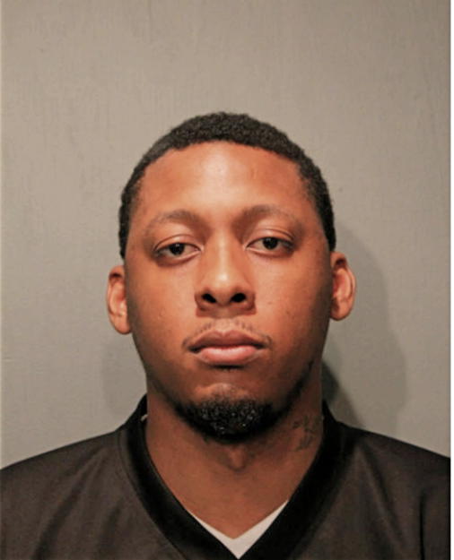 LARRY J BROWN, Cook County, Illinois