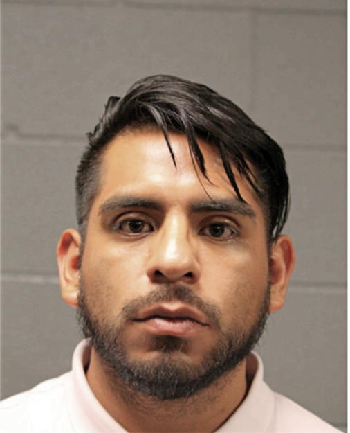 RICARDO CAMARGO, Cook County, Illinois