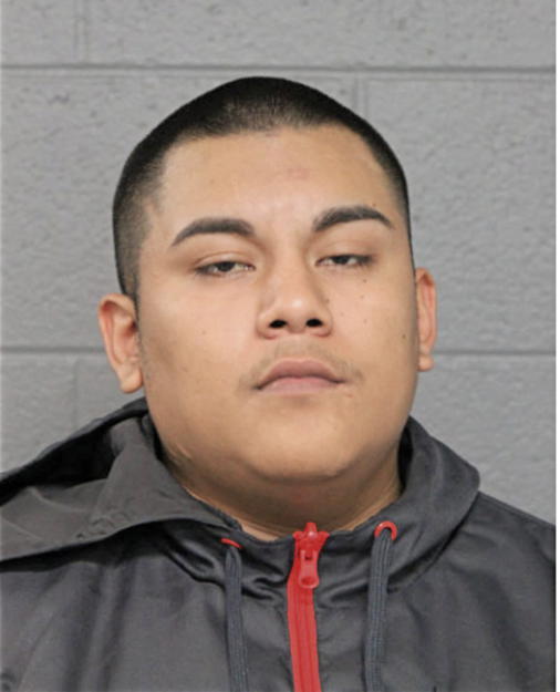 MIGUEL DOMINGUEZ, Cook County, Illinois