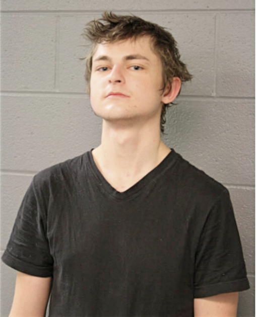 OLEG DUBYK, Cook County, Illinois
