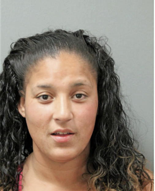 VANESSA M FERNANDEZ, Cook County, Illinois