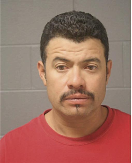 GUILLERMO M FRAGOSO, Cook County, Illinois