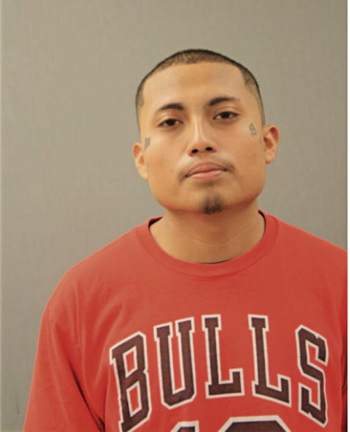 DAVID GONZALEZ, Cook County, Illinois