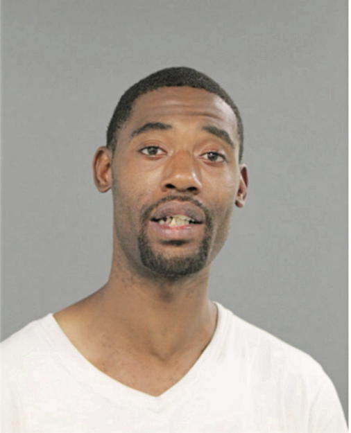 DENNIS A GOODMAN, Cook County, Illinois