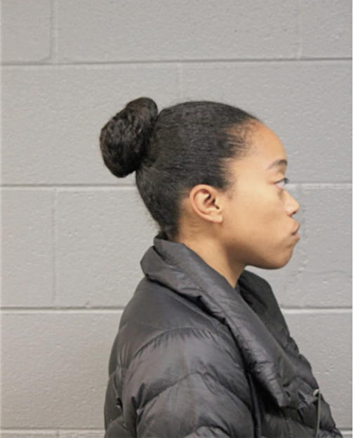 BETTINA R JOHNSON, Cook County, Illinois