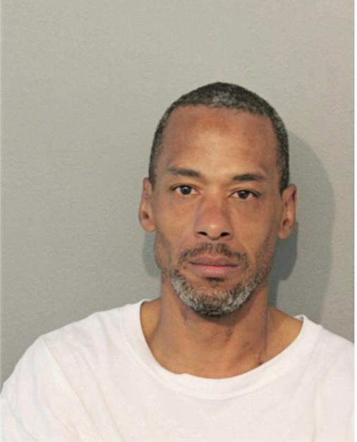 MICHAEL A JOHNSON, Cook County, Illinois