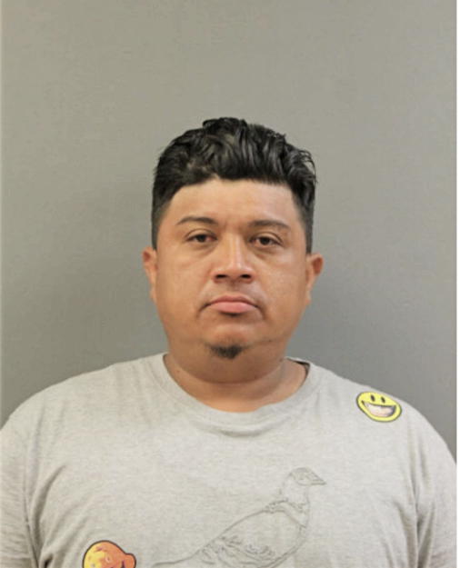FELIX A MALDONADO, Cook County, Illinois