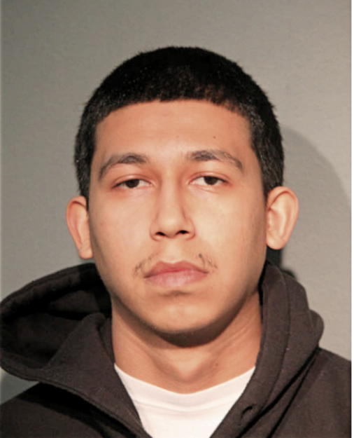 DANIEL F MARTINEZ, Cook County, Illinois