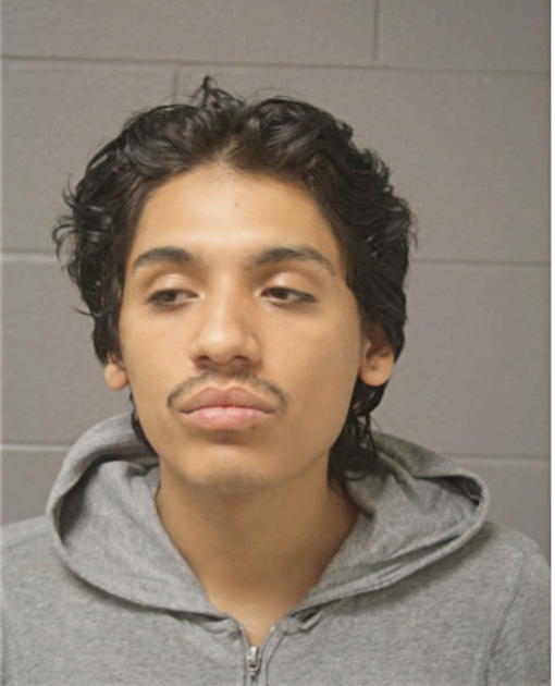 JUAN D MOLINA, Cook County, Illinois