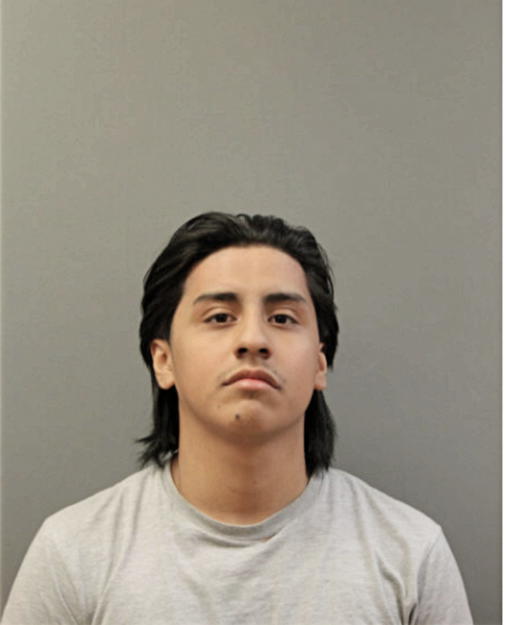 RICARDO ANGEL ORTEGA, Cook County, Illinois