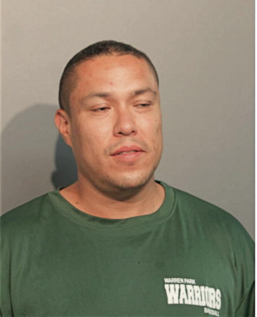 DAVID PLATA, Cook County, Illinois
