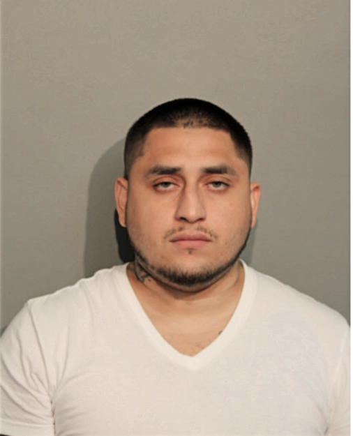 CASEY RODRIQUEZ, Cook County, Illinois