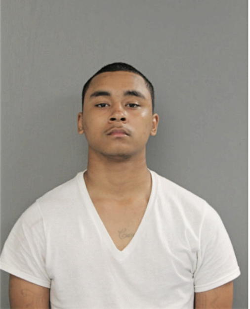 WALTER W WEAVER, Cook County, Illinois