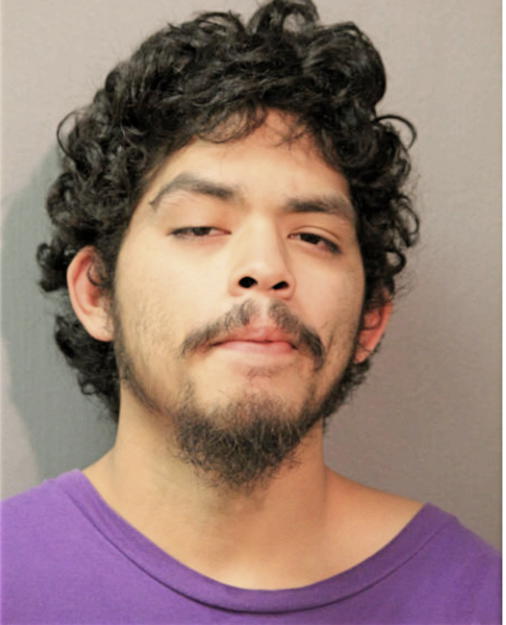 CARLOS R ALEGRIA, Cook County, Illinois