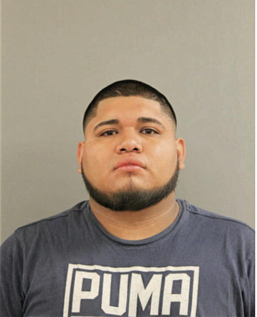 IRVING D AVILES, Cook County, Illinois