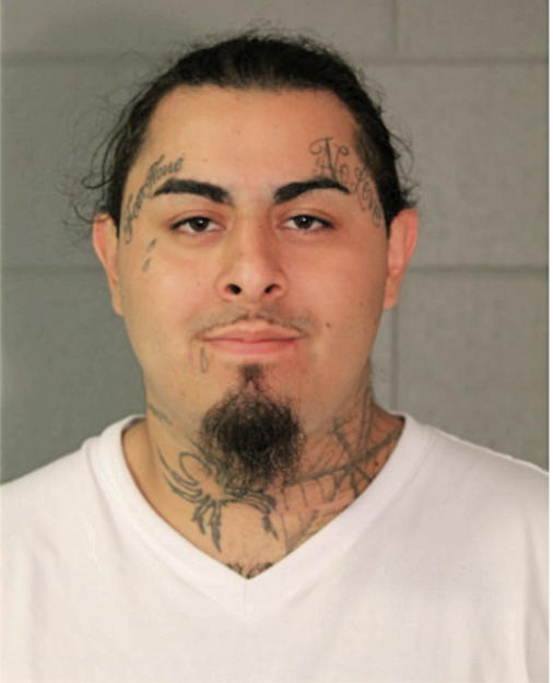 FREDDIE AYALA, Cook County, Illinois