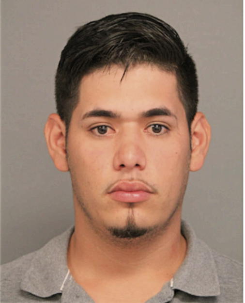 RENE SERNA BALLIN, Cook County, Illinois
