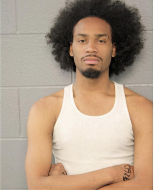 DEMARVIN KM BLANDIN, Cook County, Illinois