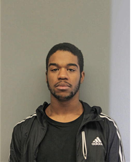 MSALLA M BROWN, Cook County, Illinois