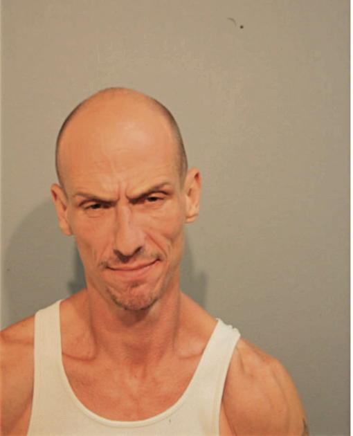 STEVEN J BRUNS, Cook County, Illinois
