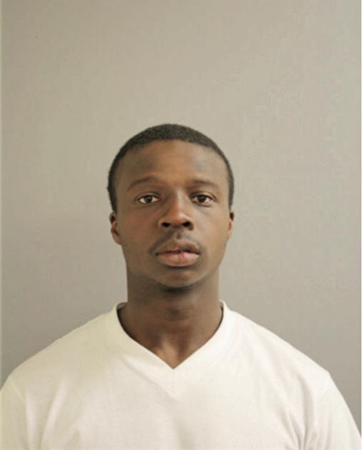 LOUIS E DAVIS, Cook County, Illinois