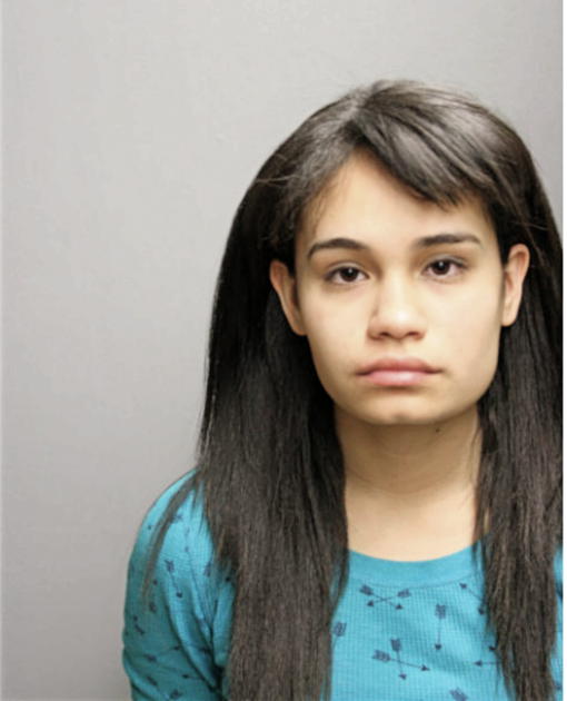 NANCY A DEL VALLE, Cook County, Illinois