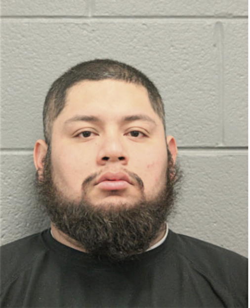 ROBERTO DELALUZ, Cook County, Illinois