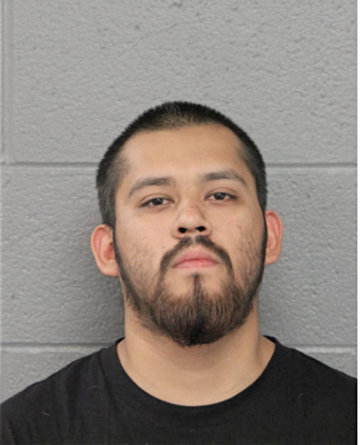 ALEJANDRO GUZMAN, Cook County, Illinois