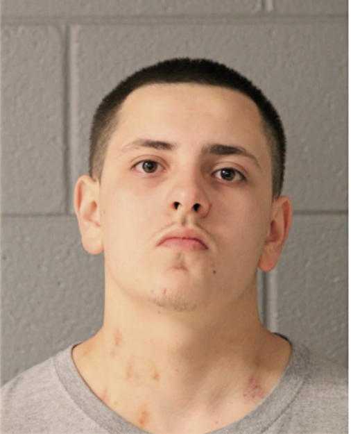 STEVE M HEIDDEGGER, Cook County, Illinois