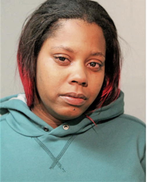 LAURA J JOHNSON, Cook County, Illinois
