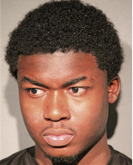 DWAYNE L MASON, Cook County, Illinois