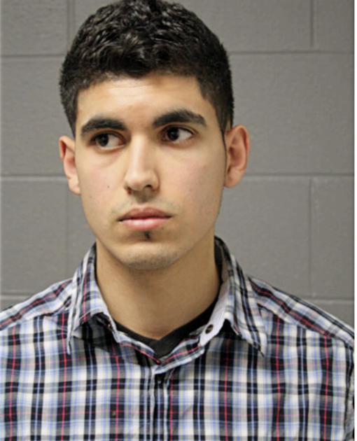 SHIHADEH M MOSA, Cook County, Illinois