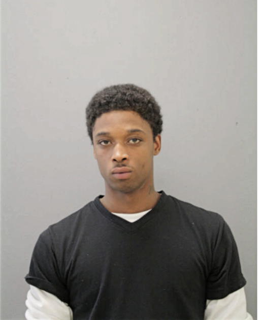 NIKIEL J WINSTON, Cook County, Illinois