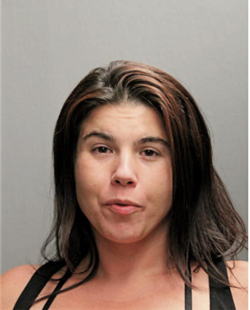 SHANNON L WOODWORTH, Cook County, Illinois