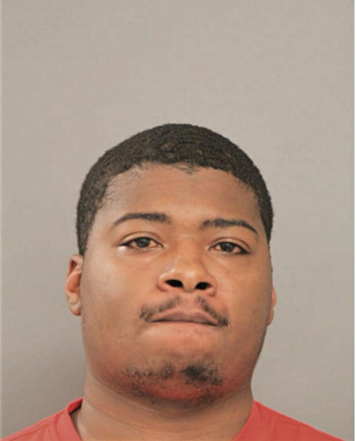 CHRISTIAN D YOUNG, Cook County, Illinois
