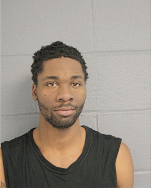 TRIMAINE R ANDERSON, Cook County, Illinois