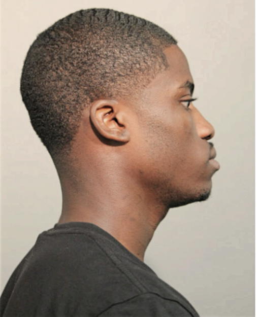 MALIK D ANGUS, Cook County, Illinois