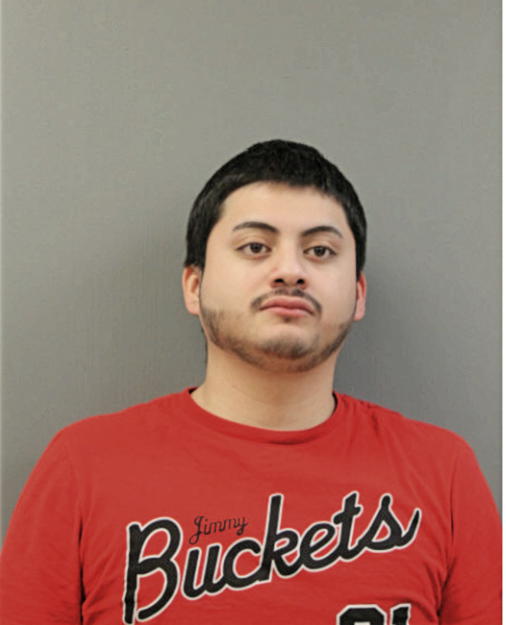 BIAN ARENAS-SANCHEZ, Cook County, Illinois