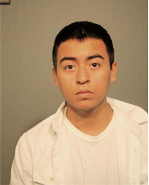 BRANDON ARROYO, Cook County, Illinois