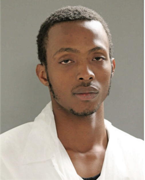 MARTISE BARNES, Cook County, Illinois