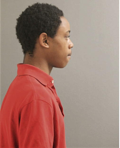 DONTE D BENAMON, Cook County, Illinois