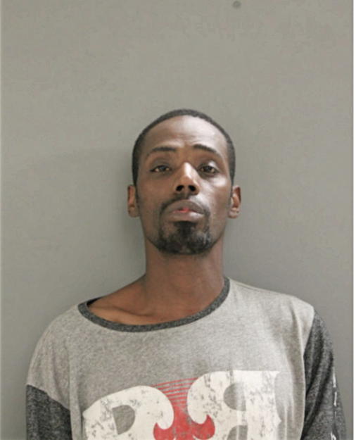 DAVID A BRADLEY, Cook County, Illinois
